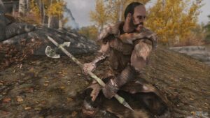Skyrim mod heavy