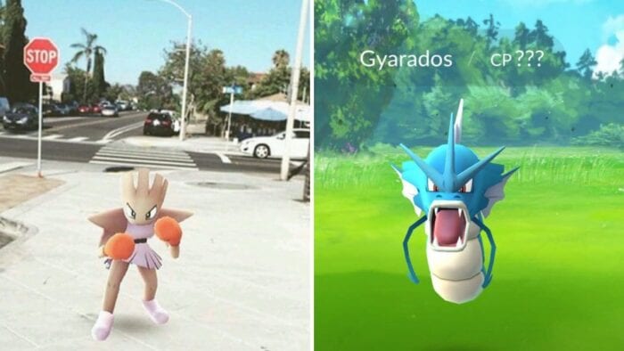 Split screen of Gyarados and Spearow