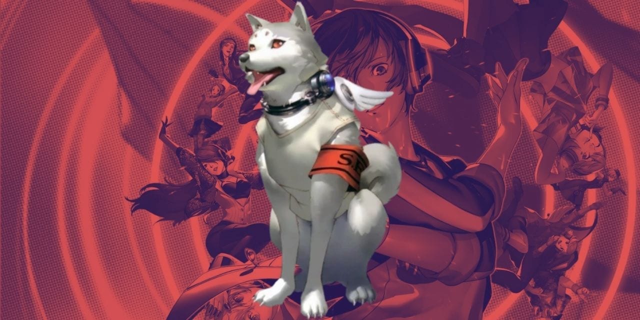 White dog against anime background