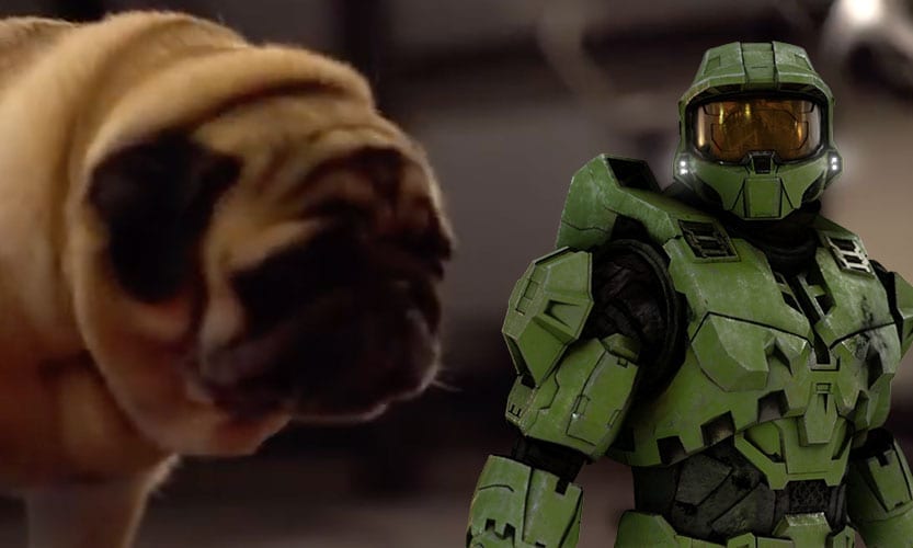 pug and master chief