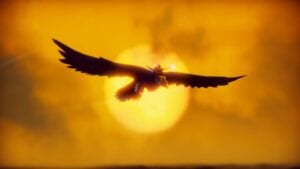 the-falconeer image