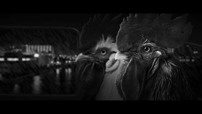 Image from Chicken Police