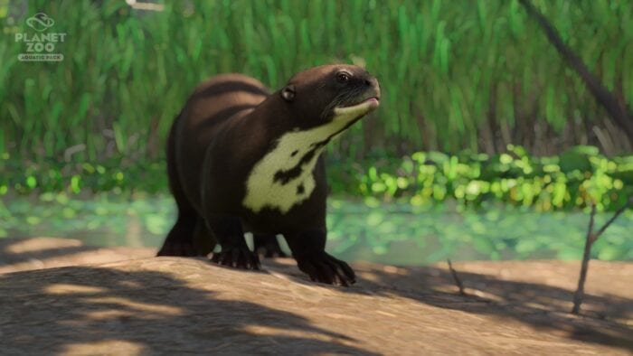 Otter planet-zoo-aquatic-pack
