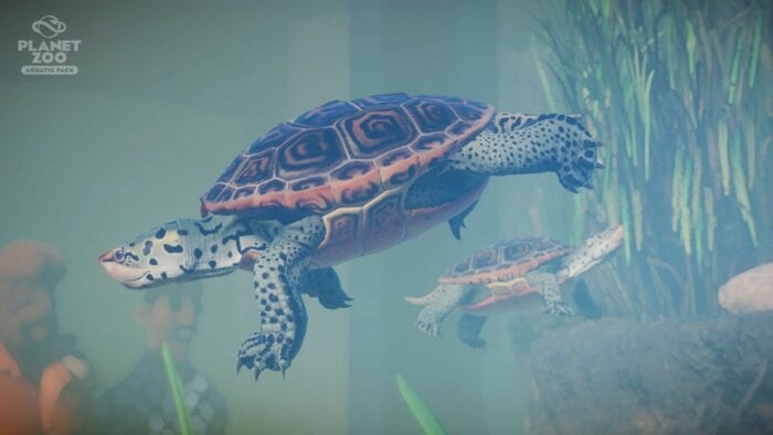 turtle planet-zoo-aquatic-pack