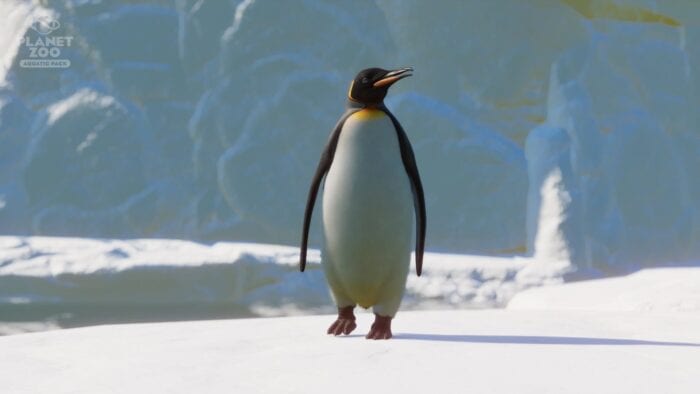 penguin planet-zoo-aquatic-pack