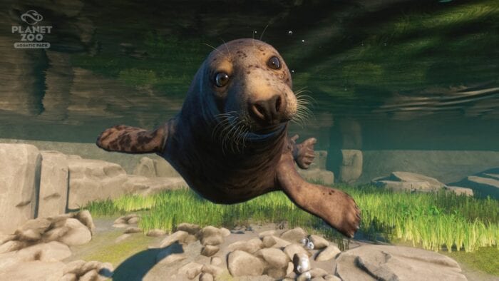 seal planet-zoo-aquatic-pack