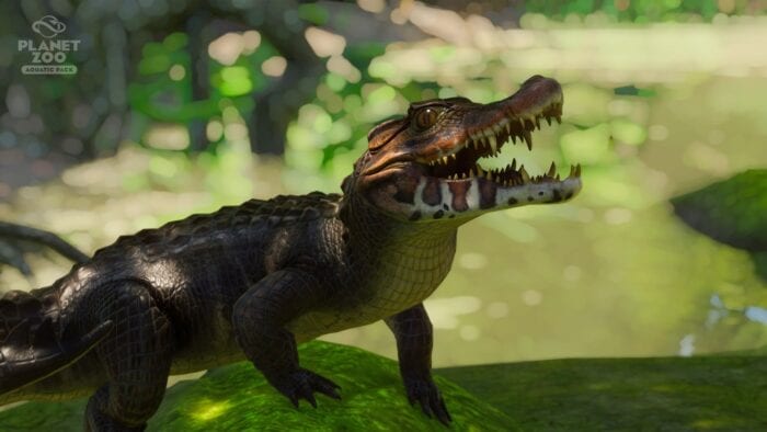caiman planet-zoo-aquatic-pack