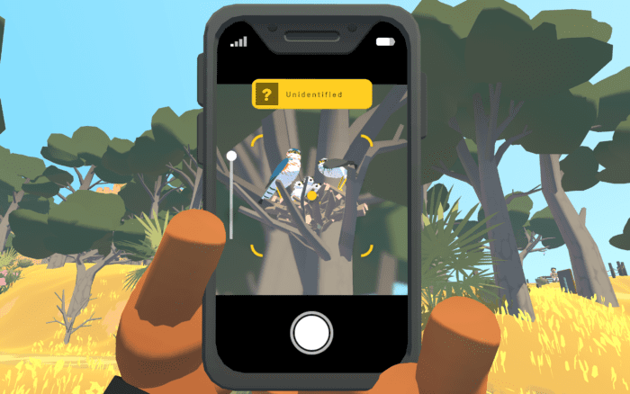 Taking a photo of wildlife