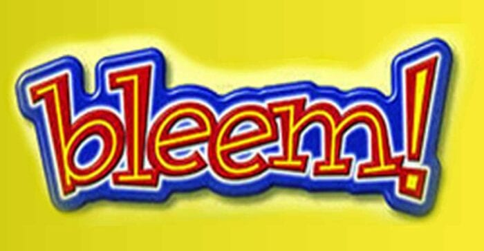 bleem logo