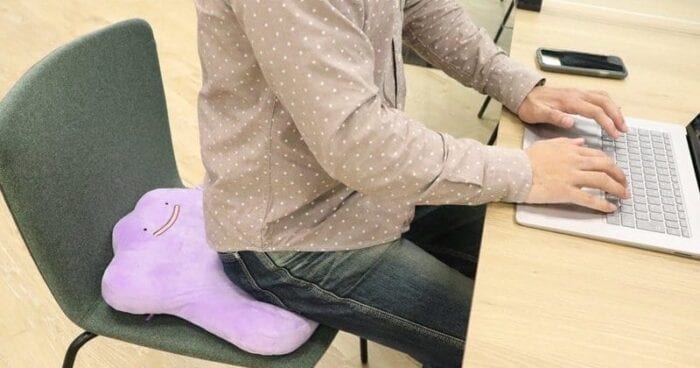 ditto cushion