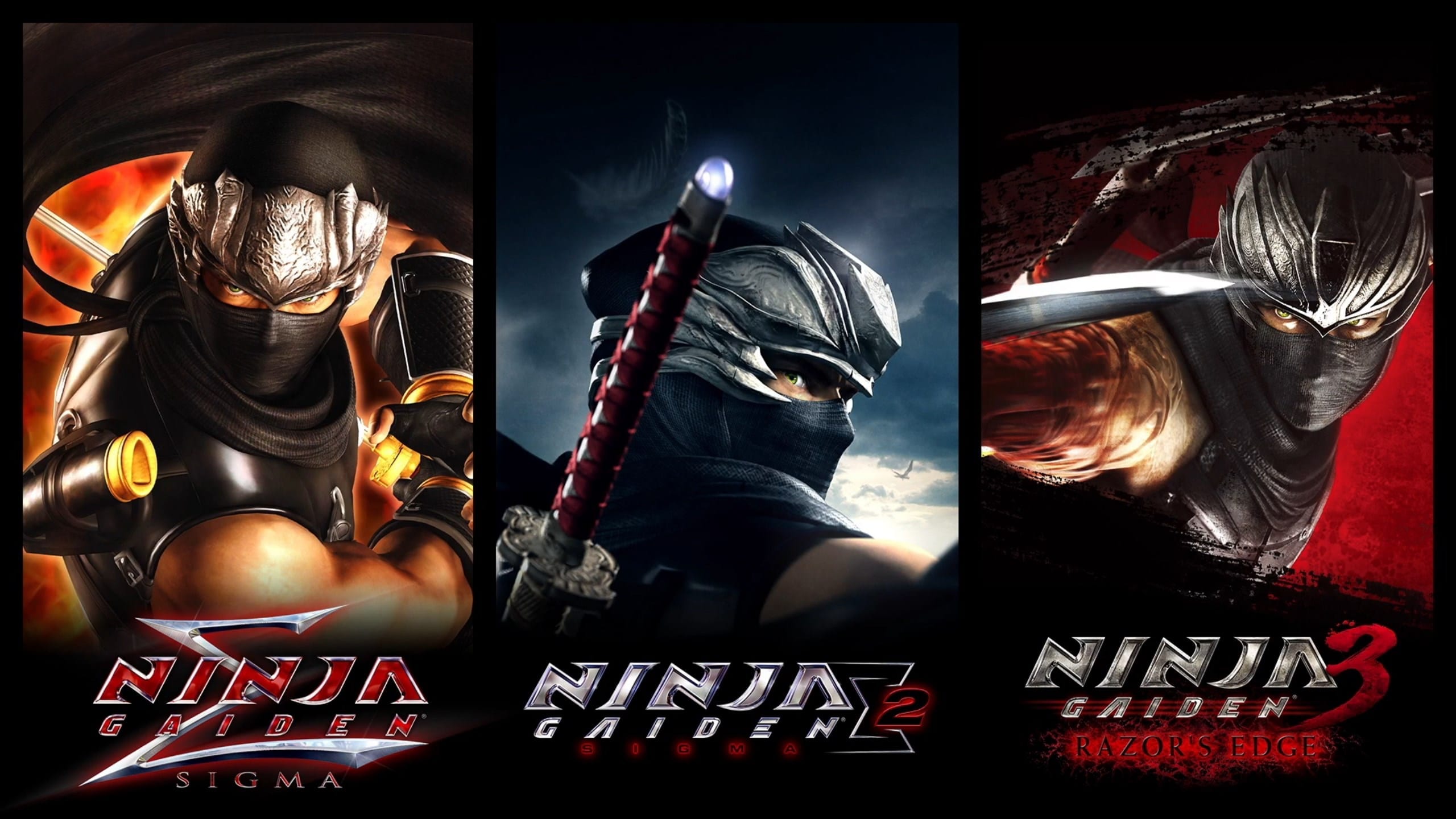 ninja gaiden master