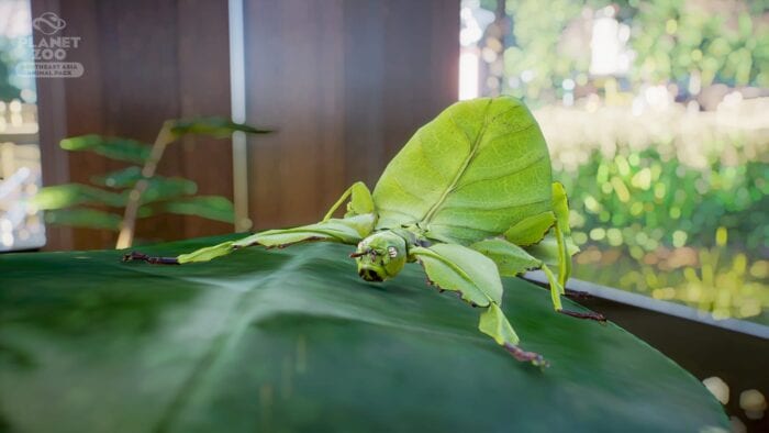 planet zoo leaf