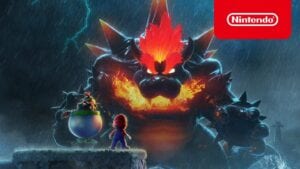bowsers fury