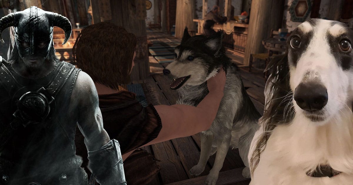 pet the dog skyrim