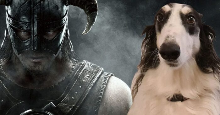 skyrim pet the dog