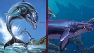Ecco the Dolphin and Dolphin Quest