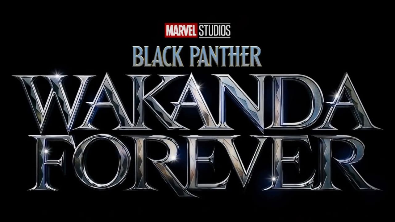 Black Panther Wakanda Forever