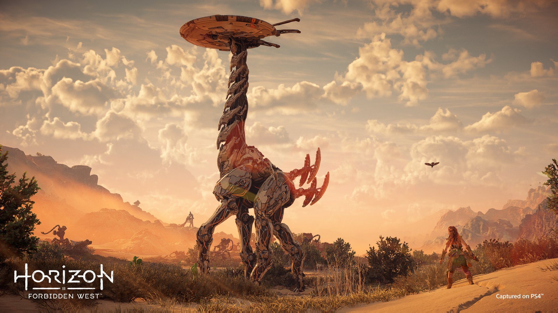hfw ps4 screenshot
