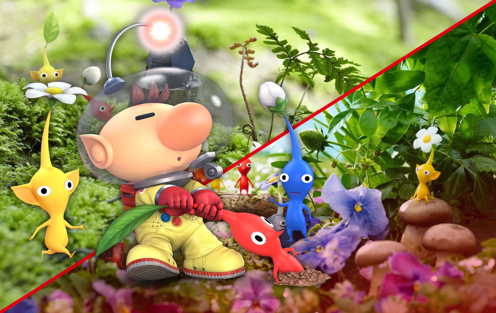 A picture of Olimar plucking Pikmin