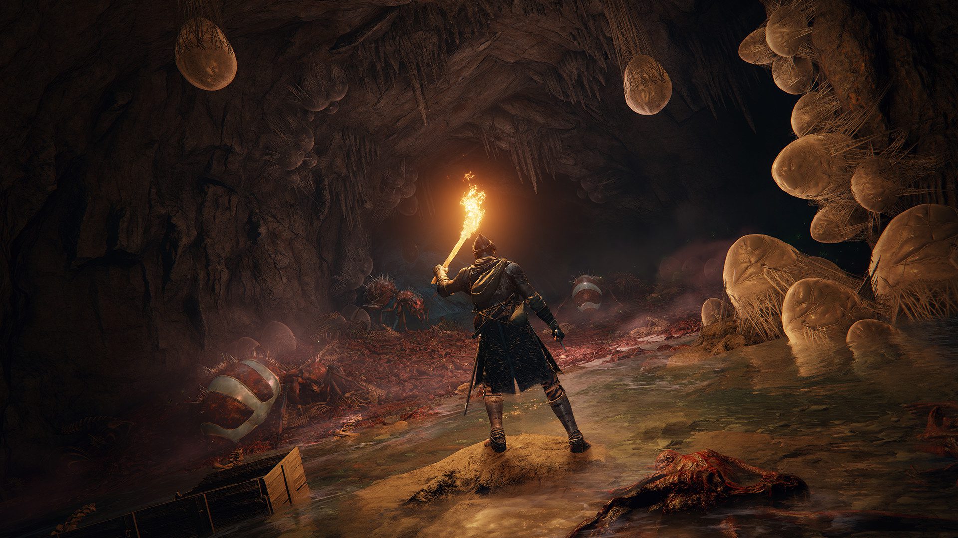 elden ring tips cave