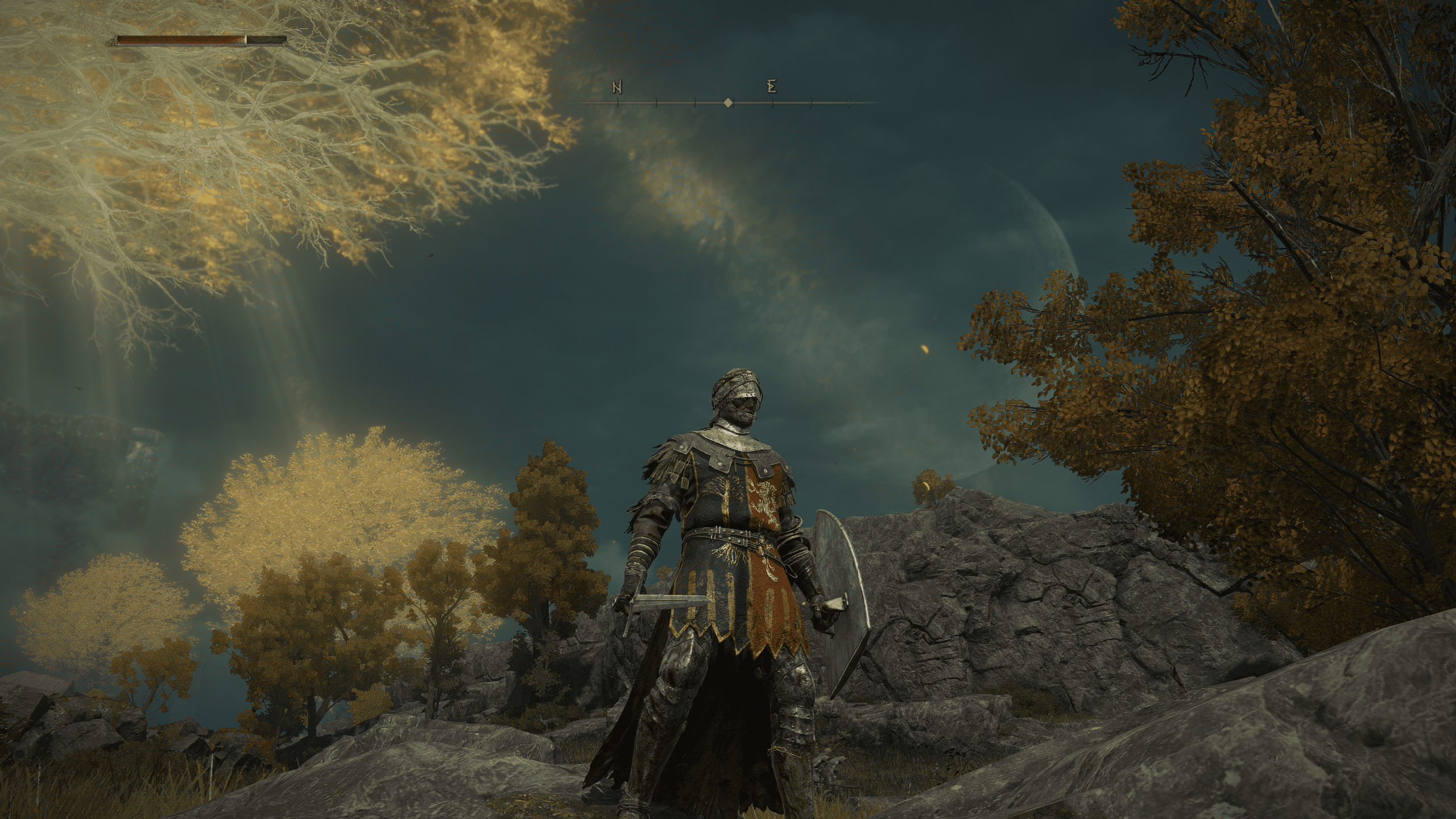Elden Ring D Brother